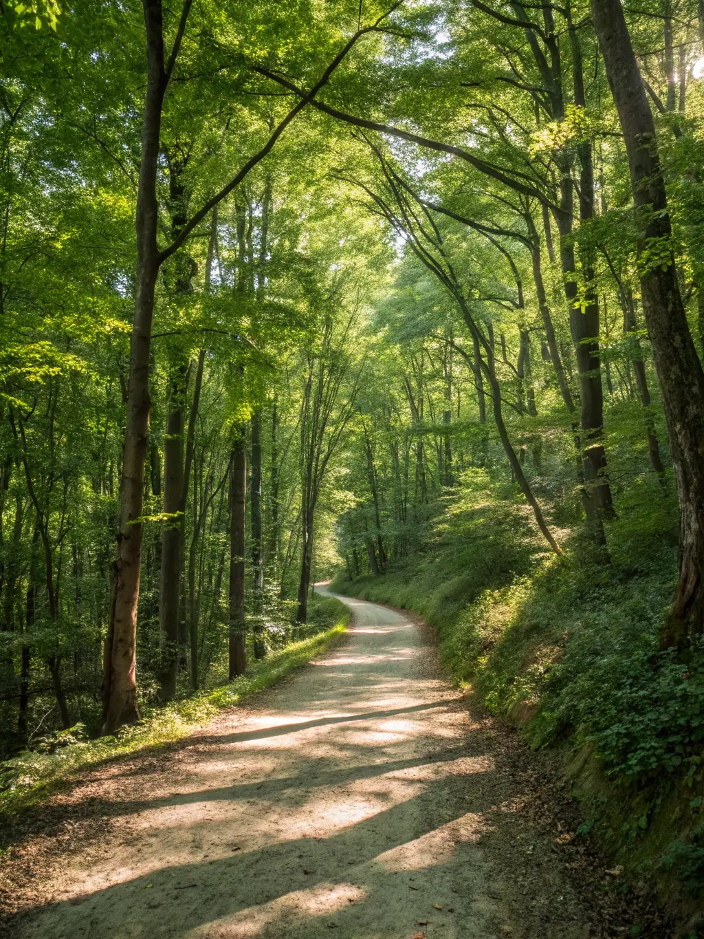 An image of a pristine natural environment where baton hunting activities take place, emphasizing the organization's commitment to environmental stewardship.